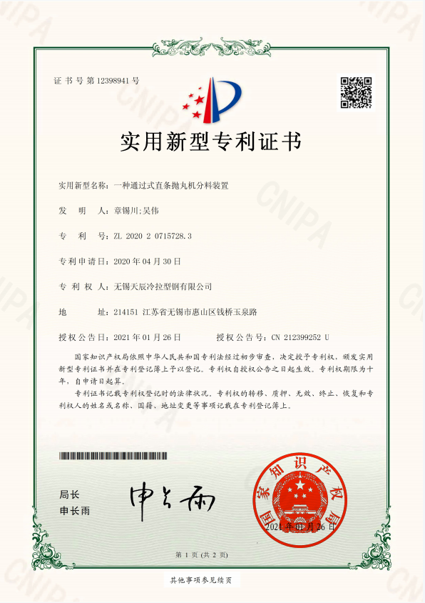 一种通过式直条抛丸机分料装置-实用新型专利证
